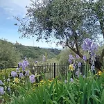 Apartment Le Casasse Imperia