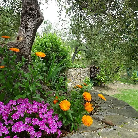 Apartamento Le Casasse *