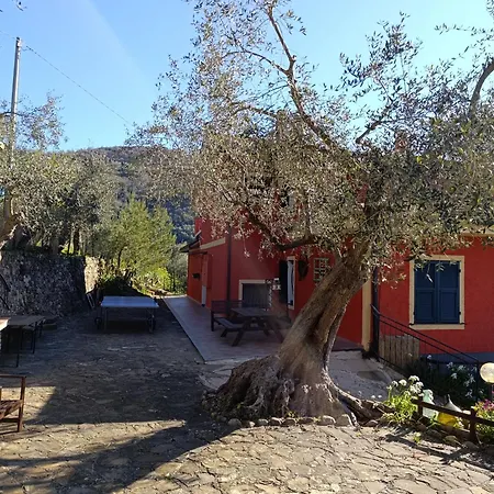 Le Casasse アパート *