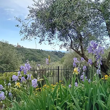 Apartman Le Casasse Imperia